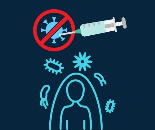 Вирусолог Надежда Жолобак: главное про антитела и прививки